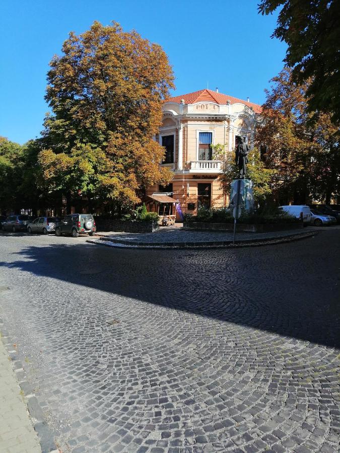 Kisfaludy Vendeghaz -Suemeg- Buitenkant foto