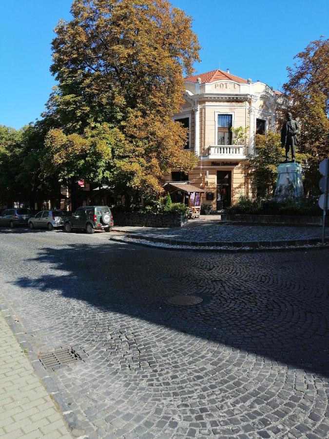 Kisfaludy Vendeghaz -Suemeg- Buitenkant foto